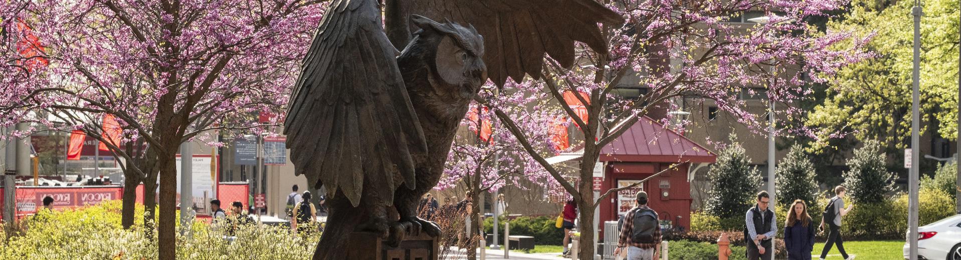 Students walking on Main Campus on a sunny spring day